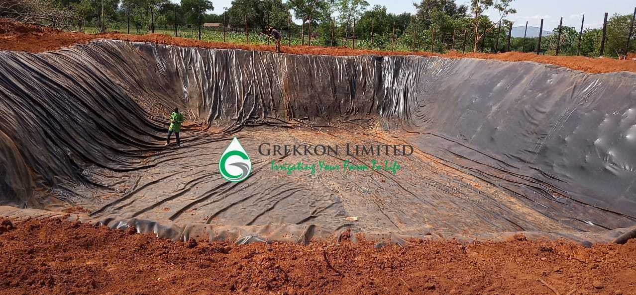 Company Profile